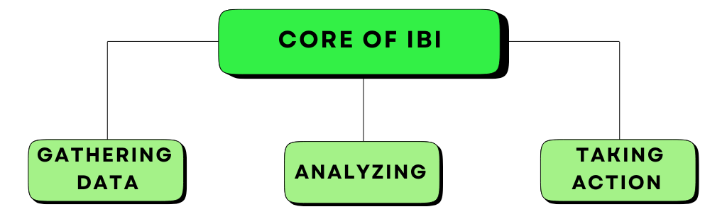 IBI 的核心