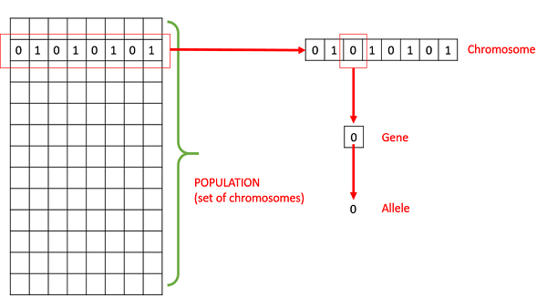 Terminology