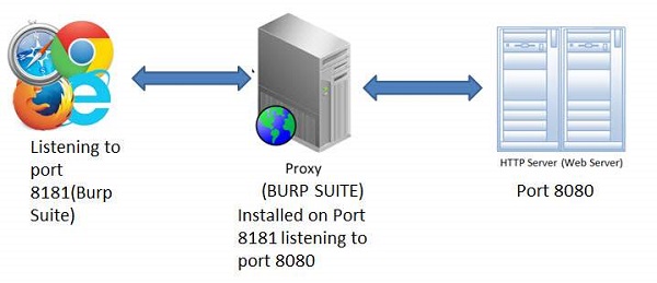 BURP Suite Download。