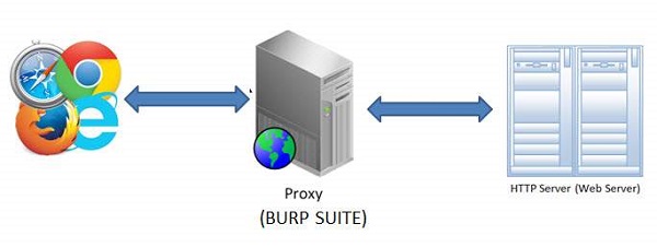 BURP Suite 下载。