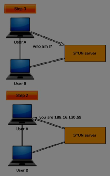 STUN 模型