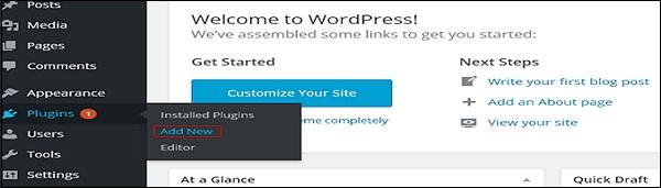 wordPress 自定义插件