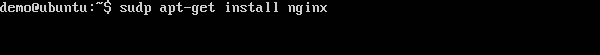 安装 nginx