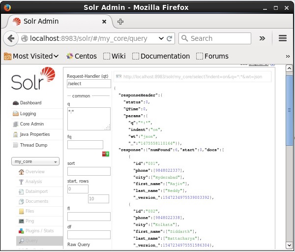 Solr Index