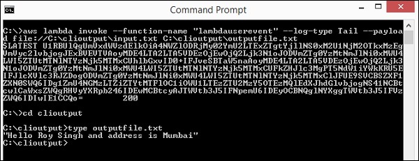 Custom Command Prompt