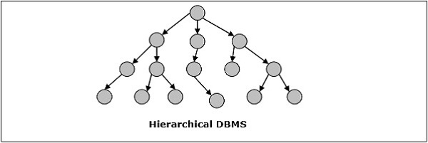 分层 DBMS