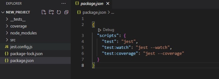 Package Json