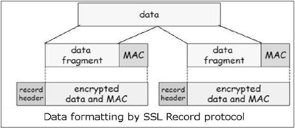 SSL 协议功能