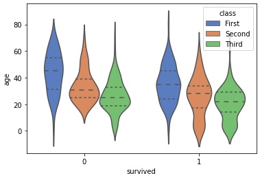 seaborn violinplot